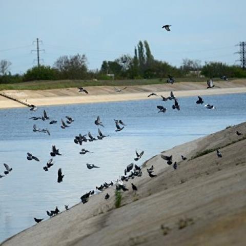 Вода для всех: аграриям РК разрешили орошать земли из Северо-Крымского канала    